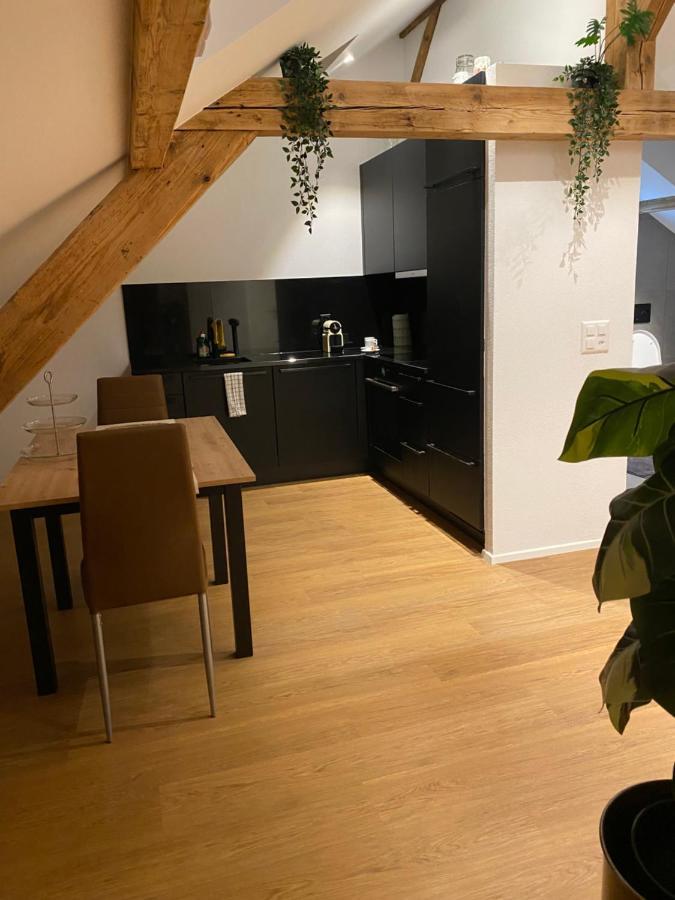 Eine Schoene Wohnung An Der Birs Базел Екстериор снимка